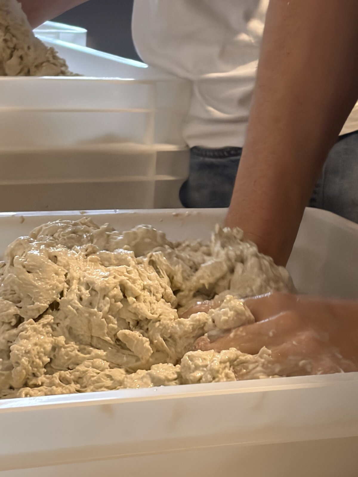 Pizzateig wird kräftig von Hand geknetet