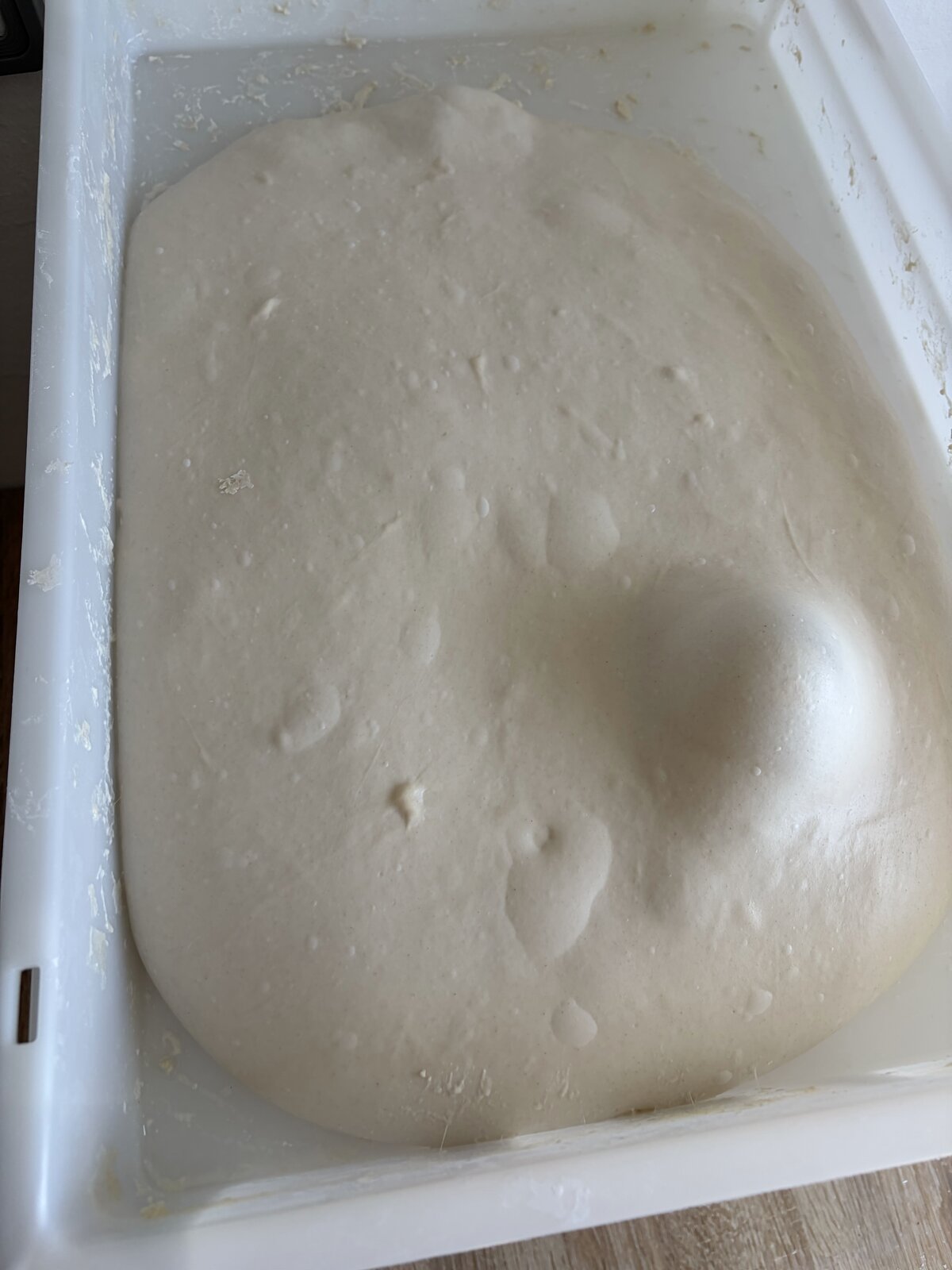 Perfekt gereifter Poolish-Teig in der Teigwanne